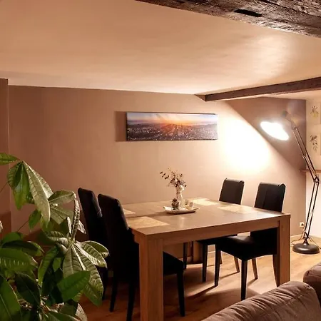 Duplex Atypique Dans La Cite Medievale 랑